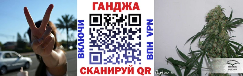 Бошки Шишки конопля  Купить закладки  Бабаево 
